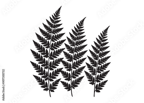 fern leaves logo vector silhouette illustration, fern leaf logo icon silhouette, bracken fern leaf silhouettes vector illustration, black silhouette of a fern leaf on white background.