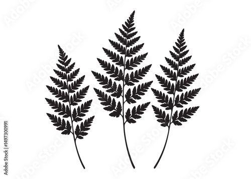 fern leaves logo vector silhouette illustration, fern leaf logo icon silhouette, bracken fern leaf silhouettes vector illustration, black silhouette of a fern leaf on white background.
