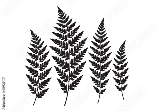 fern leaves logo vector silhouette illustration, fern leaf logo icon silhouette, bracken fern leaf silhouettes vector illustration, black silhouette of a fern leaf on white background.