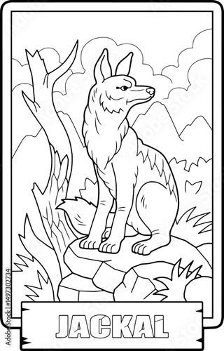 Wild African jackal, outline illustration, coloring page for kids