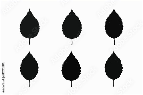 set of elm leaf silhouette vector illustration