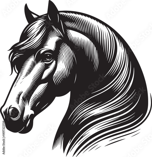 Black and White Berber Horse Vector Illustration – High-Quality Line Art Design