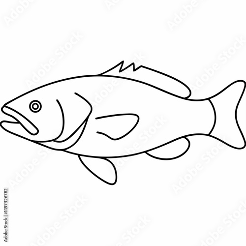 Simple outline of a fish illustration suitable for educational materials infographics and creative design projects  with transparency.