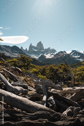 Fitz Roy El Chalten Patagonia Argentina
