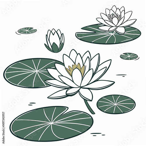 Elegant vector illustration of water lilies and pads in a minimalist design style suitable for various creative projects