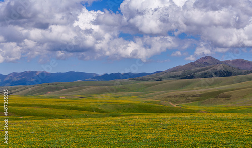 Fotografie The picturesque high-mountain plateau of Asy in the Almaty region of southeaster