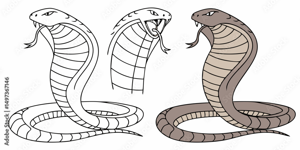 Fototapeta premium snake on a white background