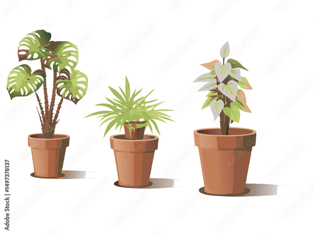 Fototapeta premium Small houseplant with green leaves in a brown pot, perfect for home gardening and growth
