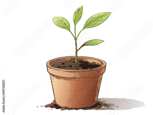 A small young houseplant with new leaves in a flowerpot representing growth and life