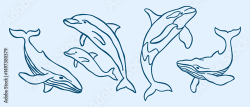 Underwater ocean animals outline vector minimalist retro illustrations set. Whales, killer whale, dolphins doodles