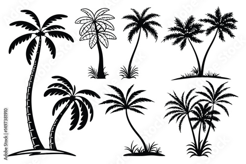 Palm trees silhouettes vector set 