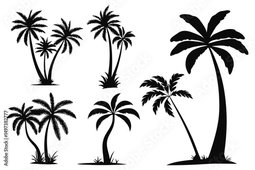 palm trees silhouettes vector
