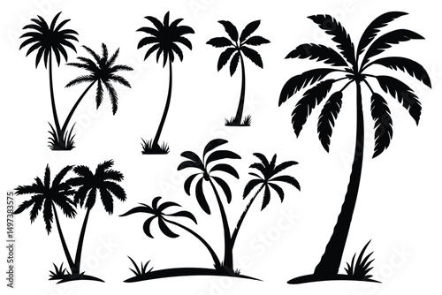 Palm trees silhouettes vector set 