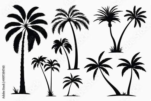 Palm trees silhouettes vector set 