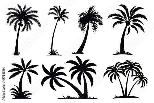 Palm trees silhouettes vector set 