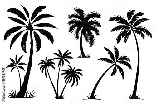 Palm trees silhouettes vector set 
