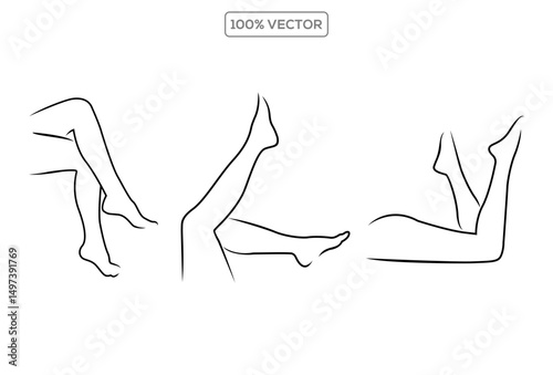 set of Female legs vector illustration template design