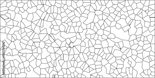 Abstract voronoi tessellation pattern in black and white illustrating complex geometric shapes ideal for backgrounds and digital art designs