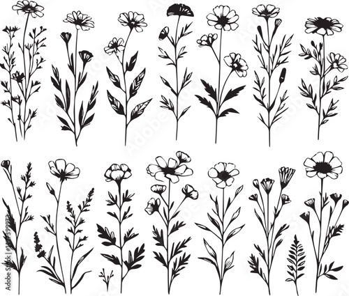 minimal botanical graphic sketch drawing, trendy tiny tattoo design, floral elements vector illustration