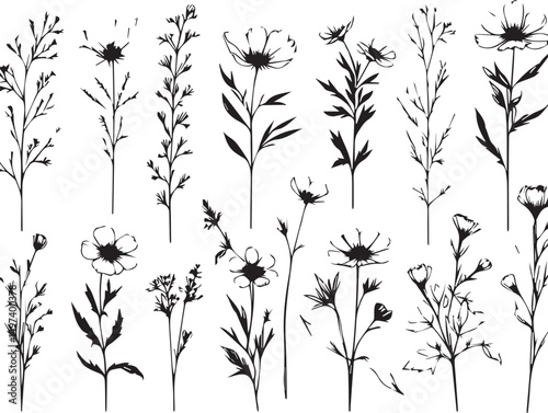 minimal botanical graphic sketch drawing, trendy tiny tattoo design, floral elements vector illustration