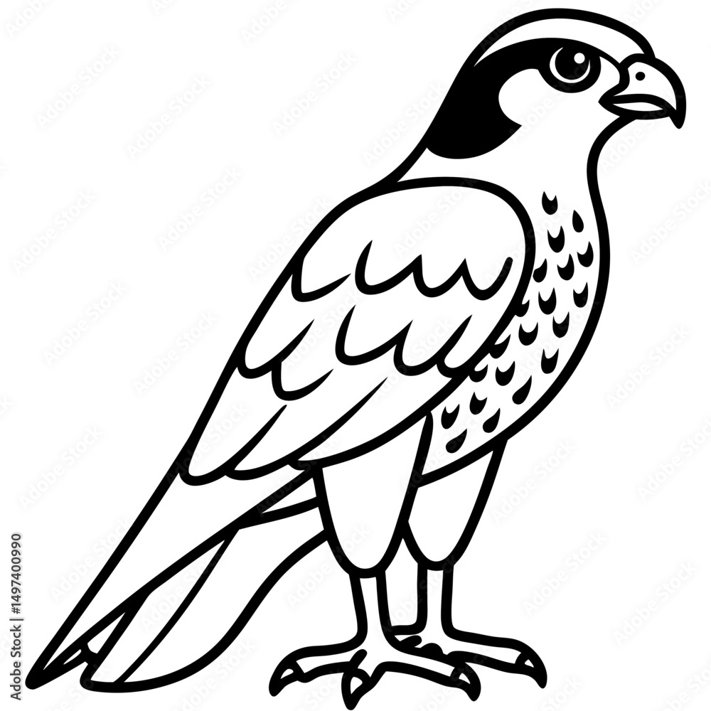 Fototapeta premium Northern Falcon line art vector