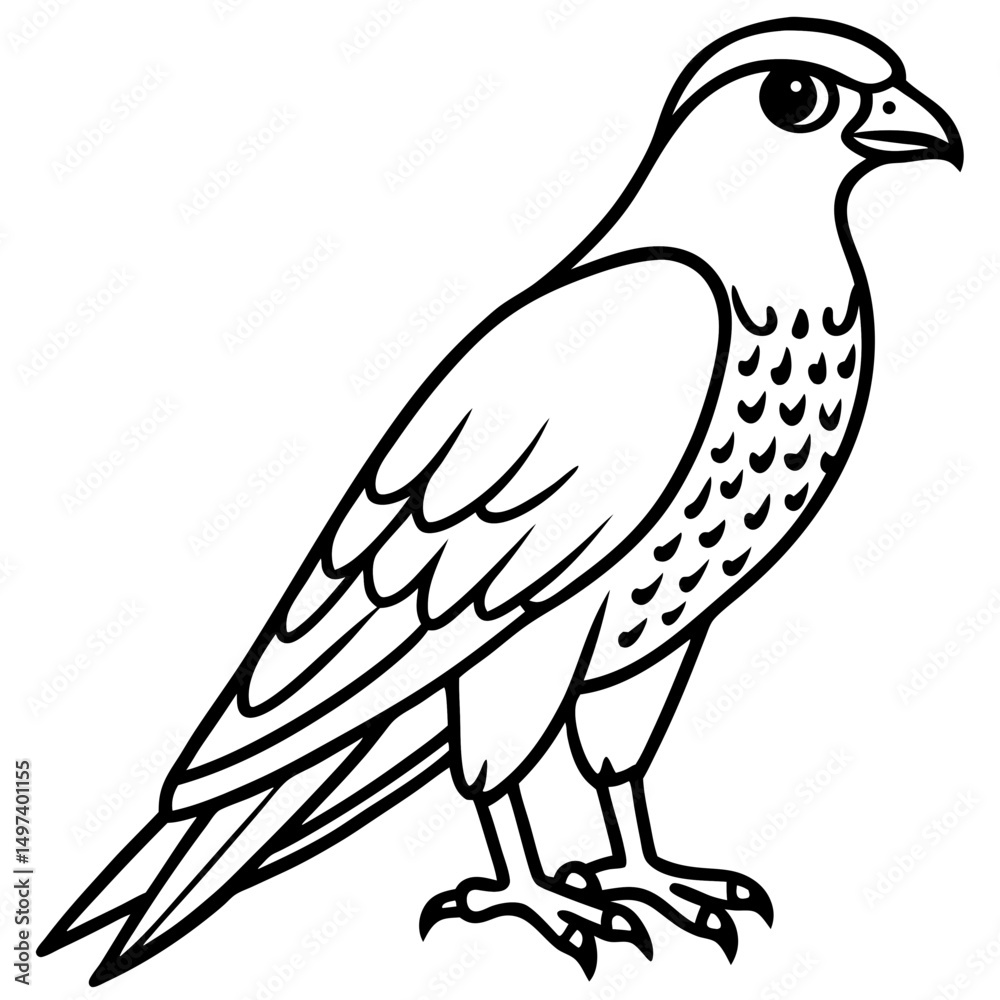 Obraz premium Northern Falcon line art vector