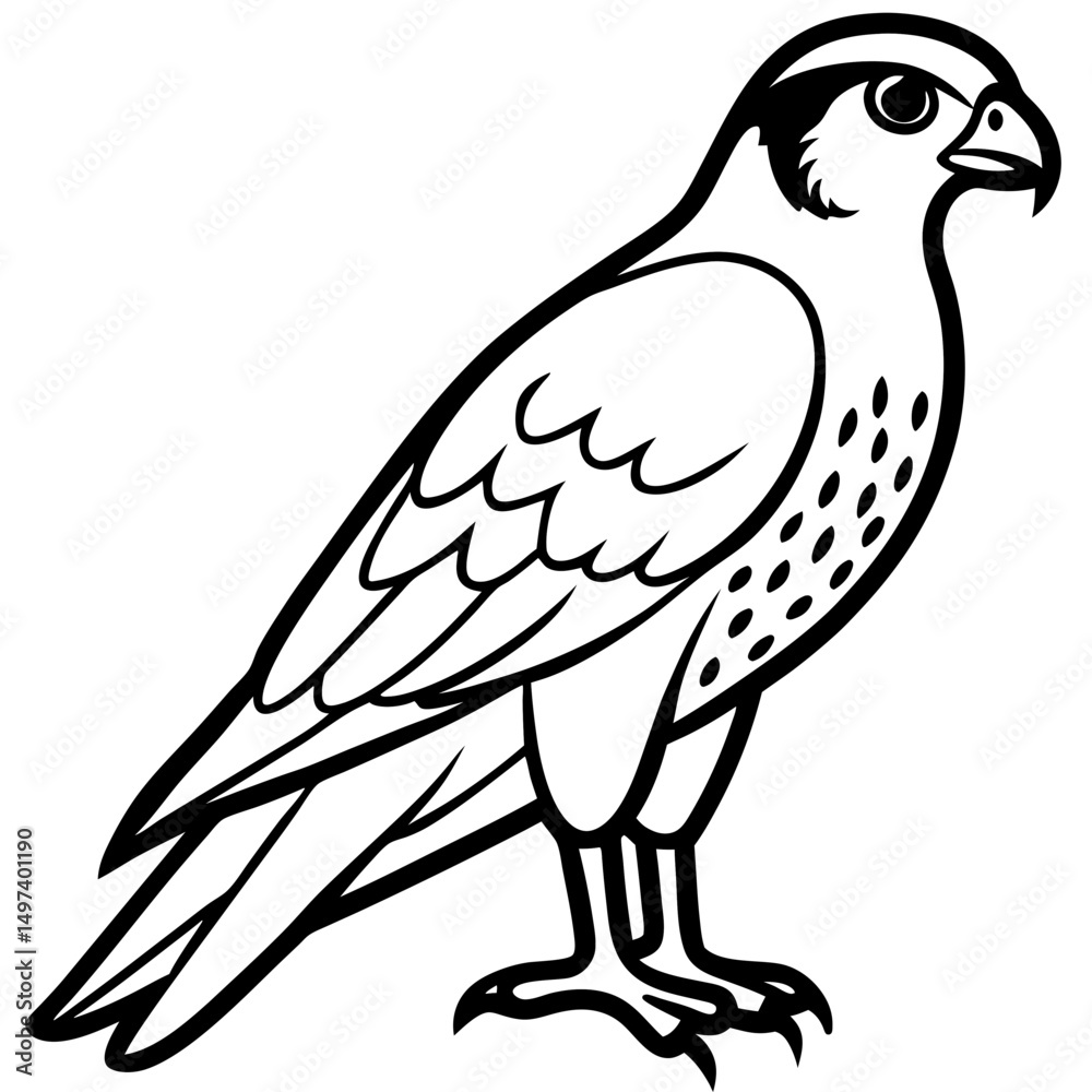 Obraz premium Northern Falcon line art vector