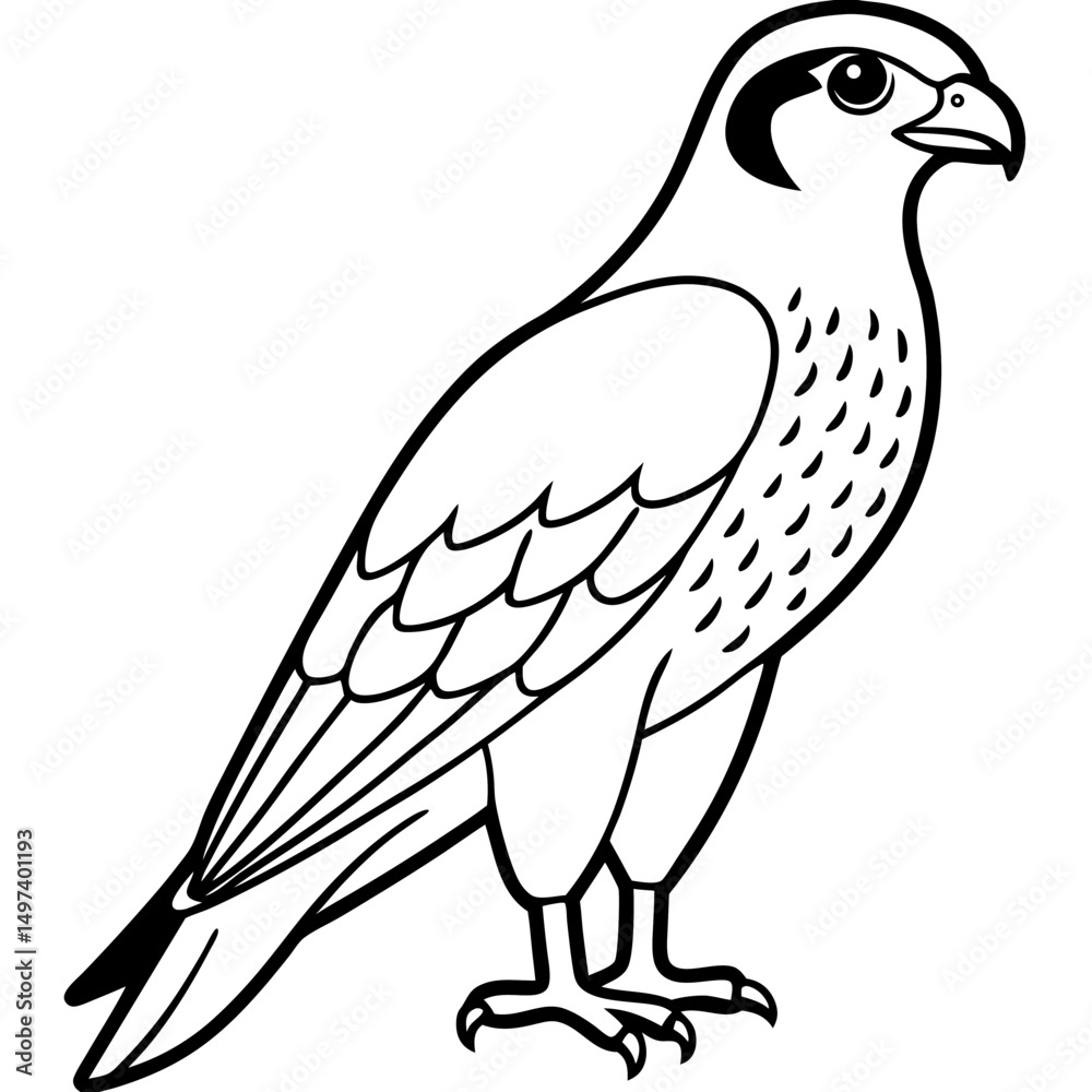 Obraz premium Northern Falcon line art vector