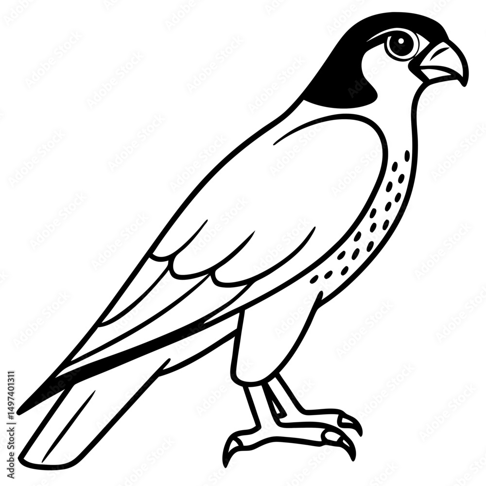 Obraz premium Northern Falcon line art vector