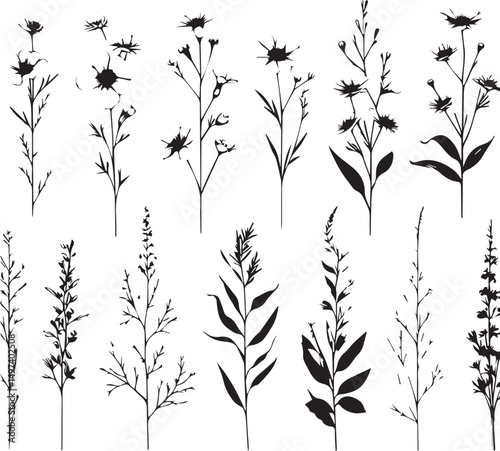 minimal botanical graphic sketch drawing, trendy tiny tattoo design, floral elements vector illustration