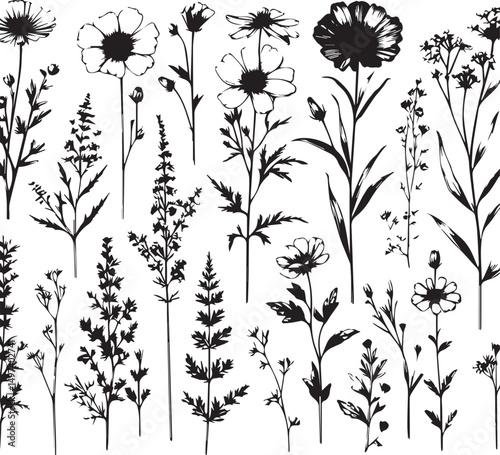 minimal botanical graphic sketch drawing, trendy tiny tattoo design, floral elements vector illustration