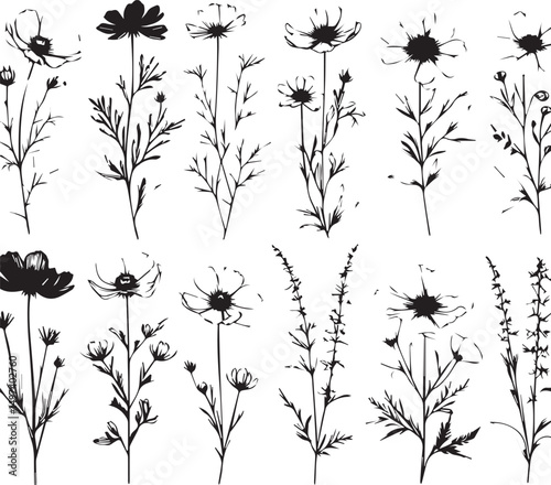 minimal botanical graphic sketch drawing, trendy tiny tattoo design, floral elements vector illustration