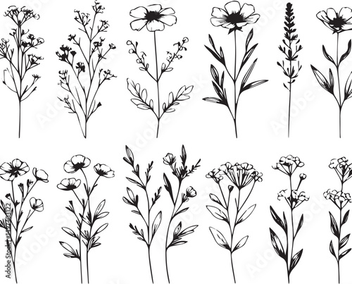 minimal botanical graphic sketch drawing, trendy tiny tattoo design, floral elements vector illustration