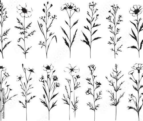 minimal botanical graphic sketch drawing, trendy tiny tattoo design, floral elements vector illustration