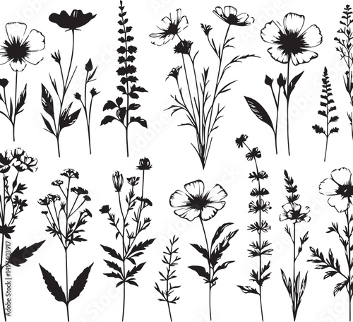 minimal botanical graphic sketch drawing, trendy tiny tattoo design, floral elements vector illustration