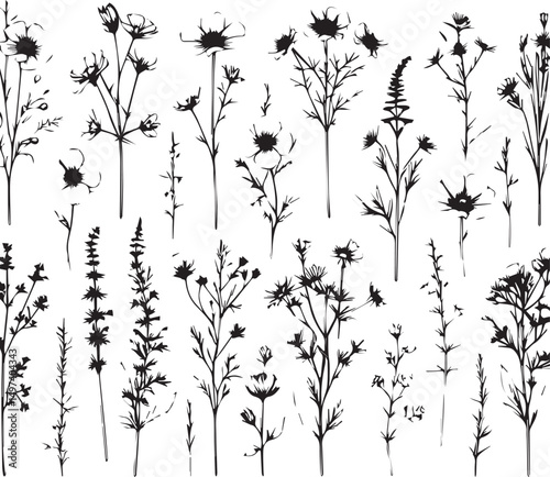 minimal botanical graphic sketch drawing, trendy tiny tattoo design, floral elements vector illustration