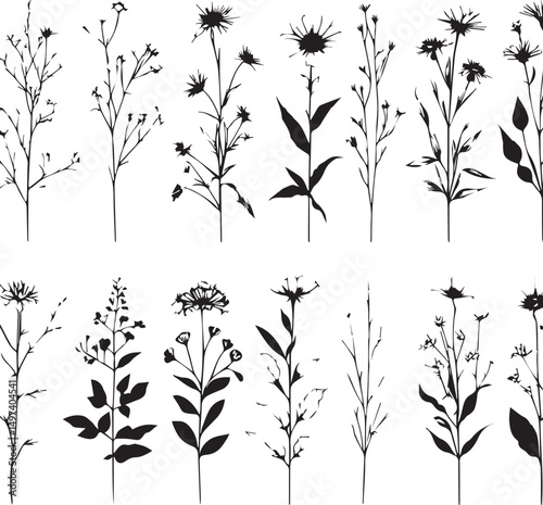 minimal botanical graphic sketch drawing, trendy tiny tattoo design, floral elements vector illustration