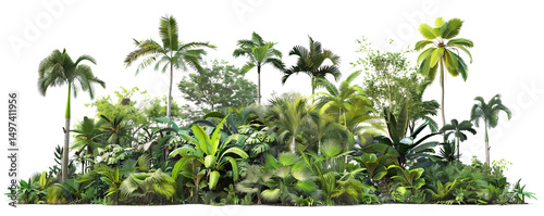 Lush Tropical Palm and Plan...
