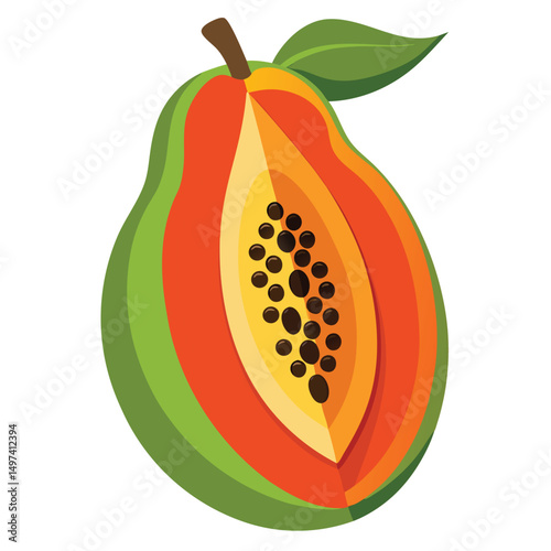 vector illustration of an orange fruit