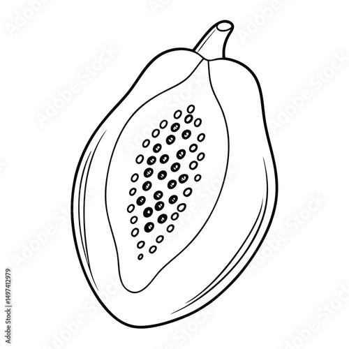 papaya outline vector