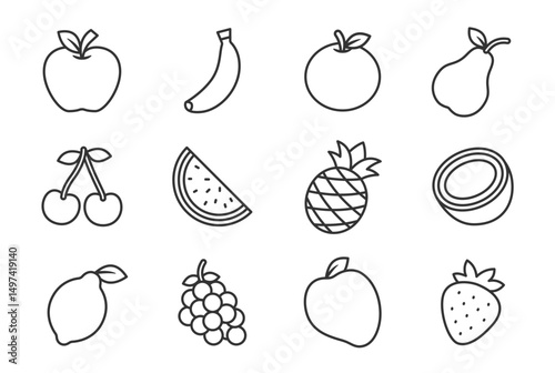 Vector illustration of a fruits on a white background. Fruit icon with line style