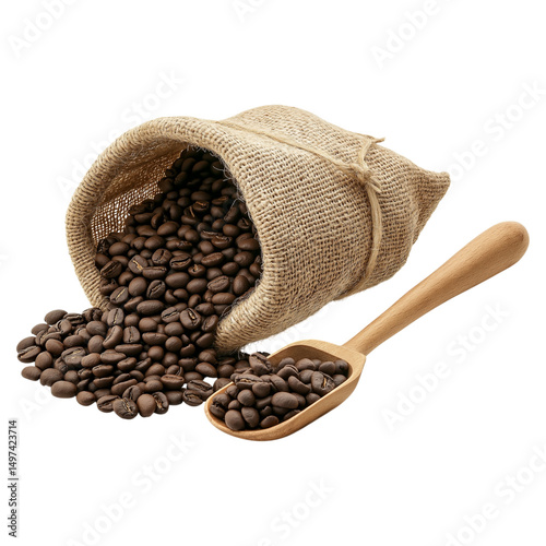 Roasted Coffee Beans Nestled in Burlap Sack Isolated for Coffee Promotions.