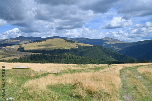 Transalpina landscape