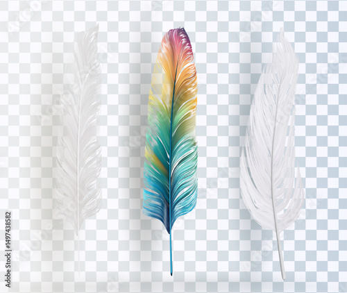 Old Feather After Feather Louse Vector Worn ink quill on transparent background