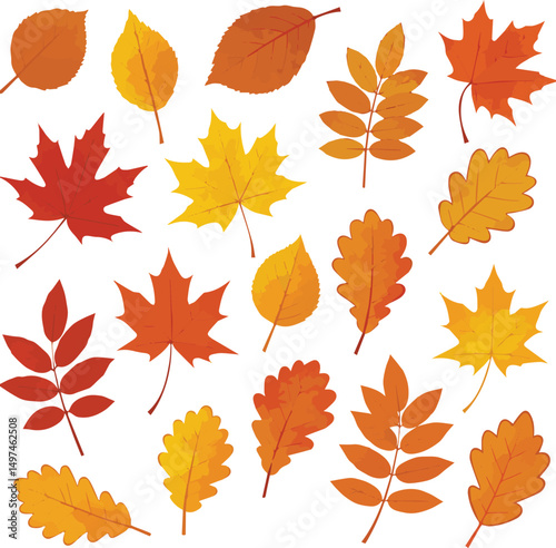 Create a kinds of autumn, leaf, maple, leaves, fall, nature, orange, vector, tree, season, yellow, plant, pattern, seamless vector art with white background.