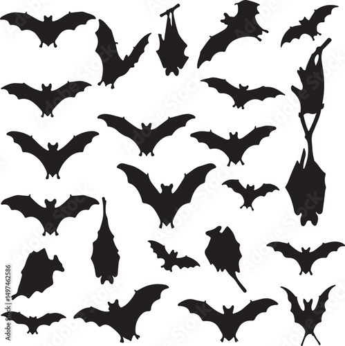 Create a kinds of silhouette, bird, animal, illustration, flying, nature, black, birds, set, sea, fly, fish, bat, wildlife, vector art with white background.