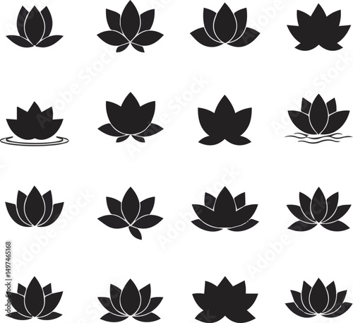 Create a kinds of Lotus flower vector art with white background