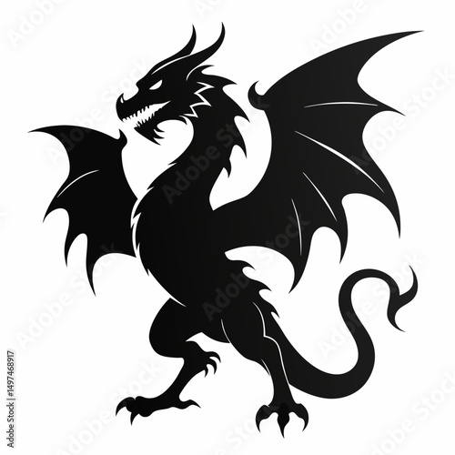 black and white dragon