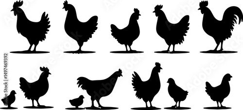 Create a kinds of hen vector art silhouette with white background.