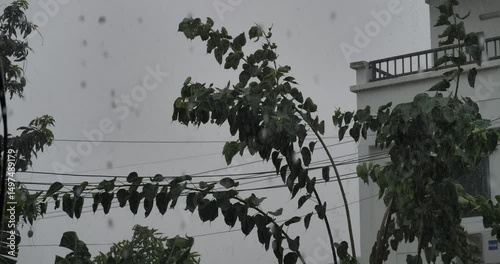 storm, heavy rain, rainy season